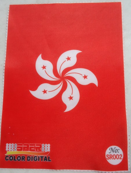 Stampante del tessuto di Mimaki per la fabbricazione della bandiera 2