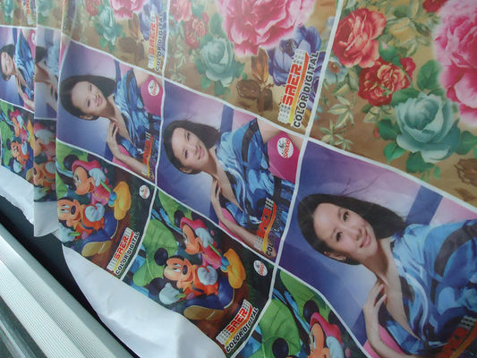 Tessuto 110-250 G/GSM della tenda 100%/bandiera di Windows del poliestere