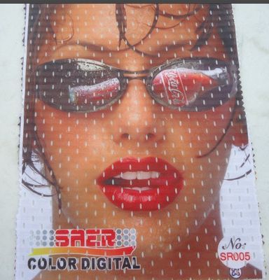 CSR 3200 di Saer della macchina della stampante della bandiera di Singapore della stampatrice di ampio formato