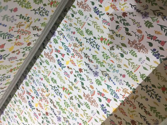 110V / sistema di stampa del tessuto 220V/stampatrice automatici tessuto del getto di inchiostro