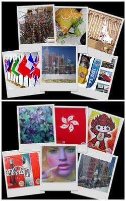 Diriga il filo di ordito 100% del poliestere della sublimazione del tessuto di stampa di Digital che tricotta il tessuto