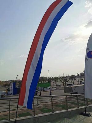 Tensione di alta risoluzione 110V/220V della stampante di sublimazione di ampio formato per le bandiere