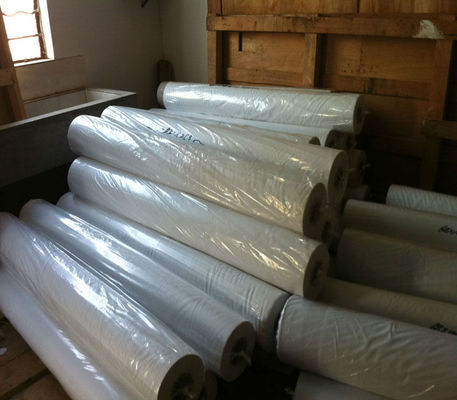 Il tessuto di stampa della sublimazione di Digital con il filo di ordito rivestito ha tricottato il poliestere